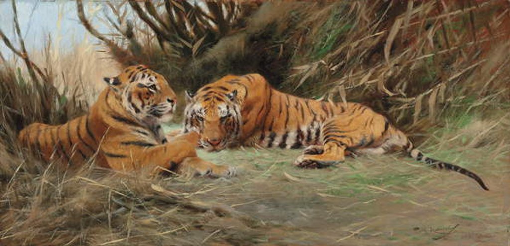 Detail of Tigers at Dawn, 1913 by Wilhelm Kuhnert