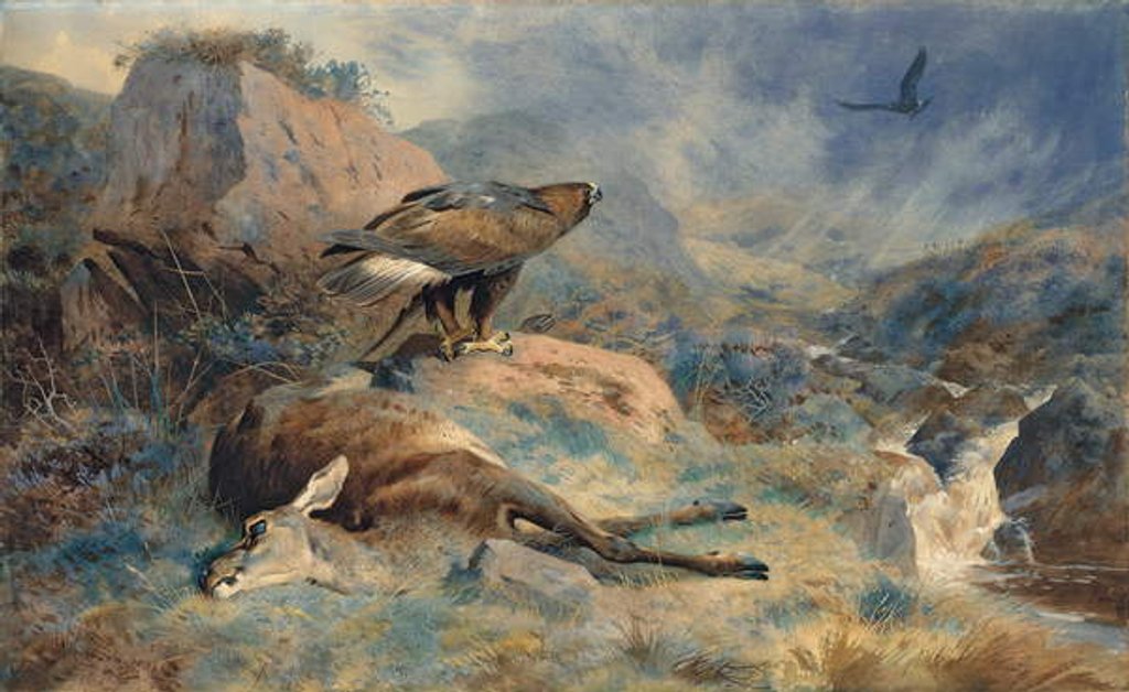 Detail of The Lost Hind, 1894 by Archibald Thorburn