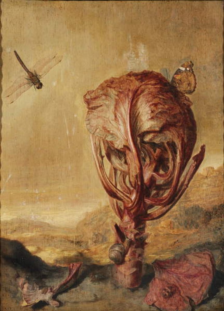 Detail of A red cabbage, a snail, a butterfly, a dragonfly, a bee and a wood louse in a landscape by Margarethe de Heer