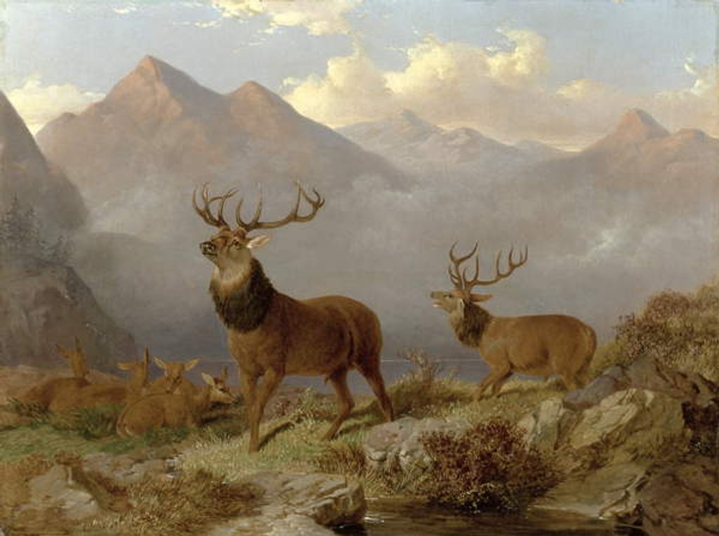 Detail of Stags And Hinds In A Highland Landscape, 1864 by John Frederick Herring Jnr