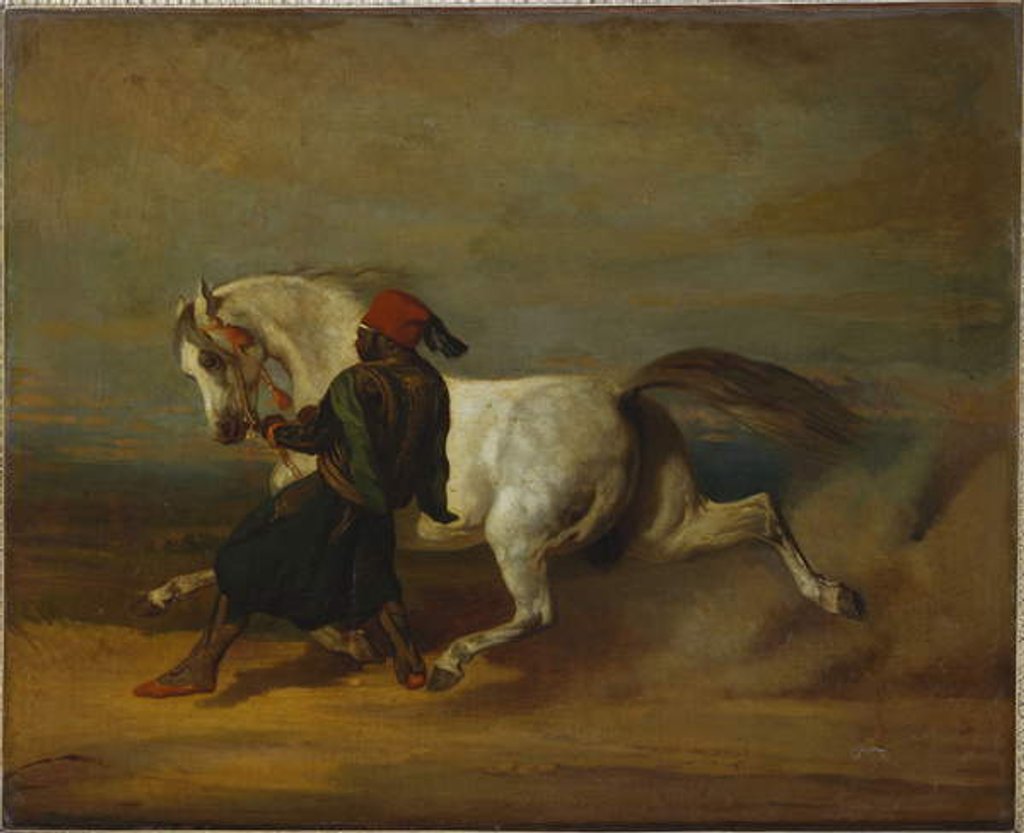 Detail of The Pasha's Pride by Alfred Dedreux or de Dreux