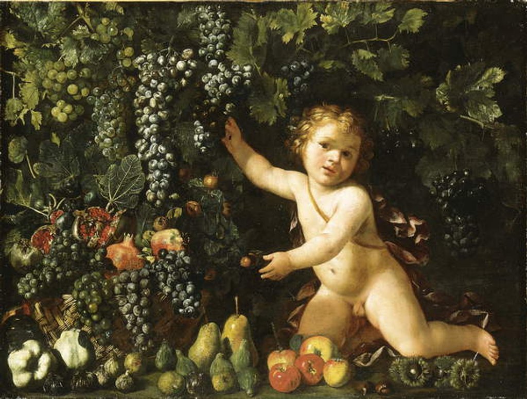 Detail of Grapes on the vine, pomegranates, grapes, and rosehips in a basket, with figs, apples, pears and chestnuts by a putto by Master of the Acquavella Still Life