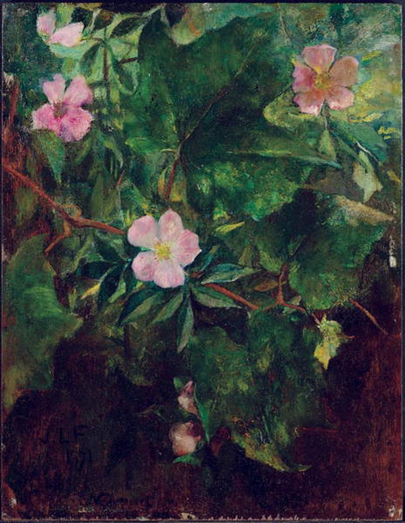 Detail of Wild Rose and Grape Vine, Study From Nature, 1871 by John La Farge or Lafarge
