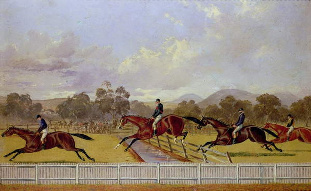 Detail of A Steeplechase by Samuel Henry Alken