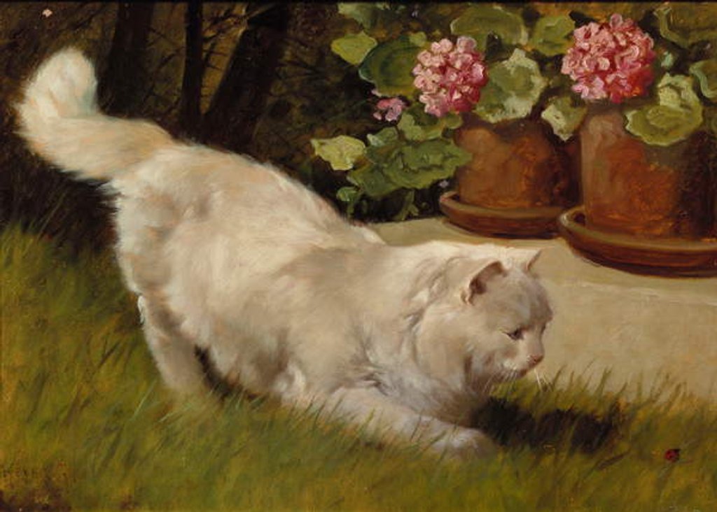 Detail of A White Persian Cat with a Ladybird by Arthur Heyer