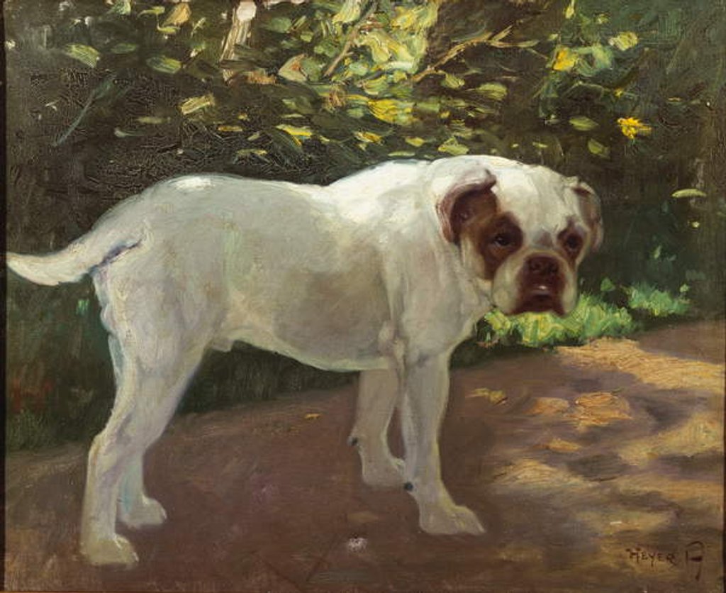 Detail of A Bulldog on a Garden Path by Arthur Heyer