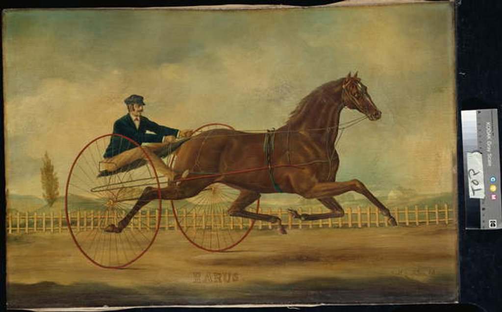 Detail of Rarus by Nicholas Winfield Scott Leighton