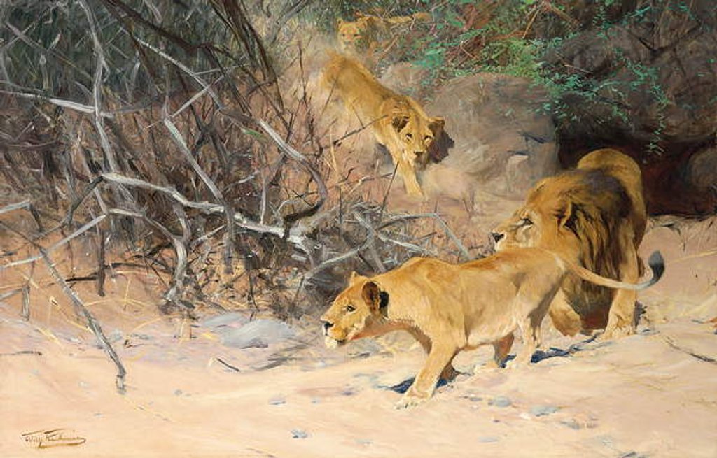 Detail of A Pride of Lions on the Prowl by Wilhelm Kuhnert