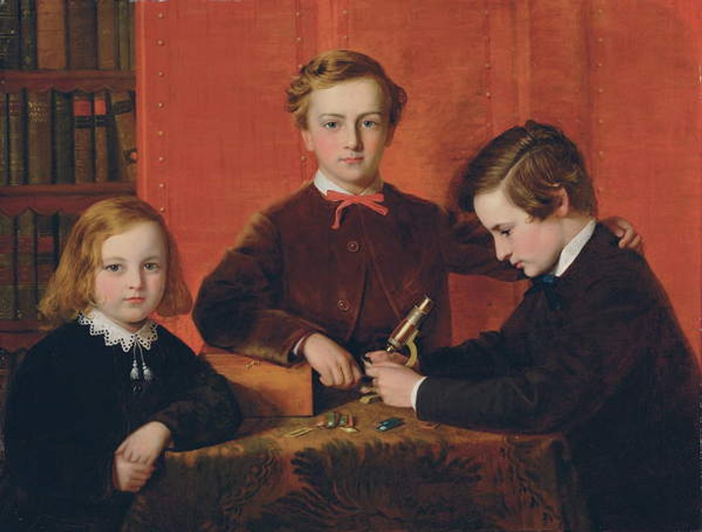 Detail of The Young Microscopists: Portrait of Frank, Harry and Arthur Izod Richards, Aged 10, 8 and 5, Playing with a Microscope by John Edgar Williams