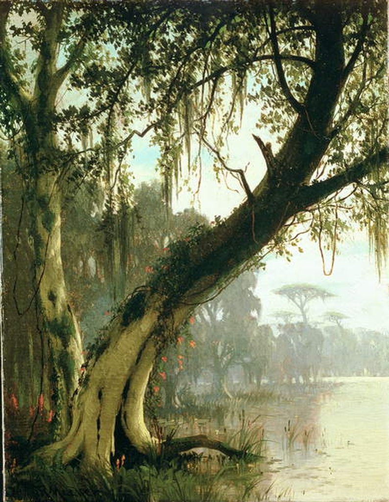 Detail of In the Bayou by Joseph Rusling Meeker