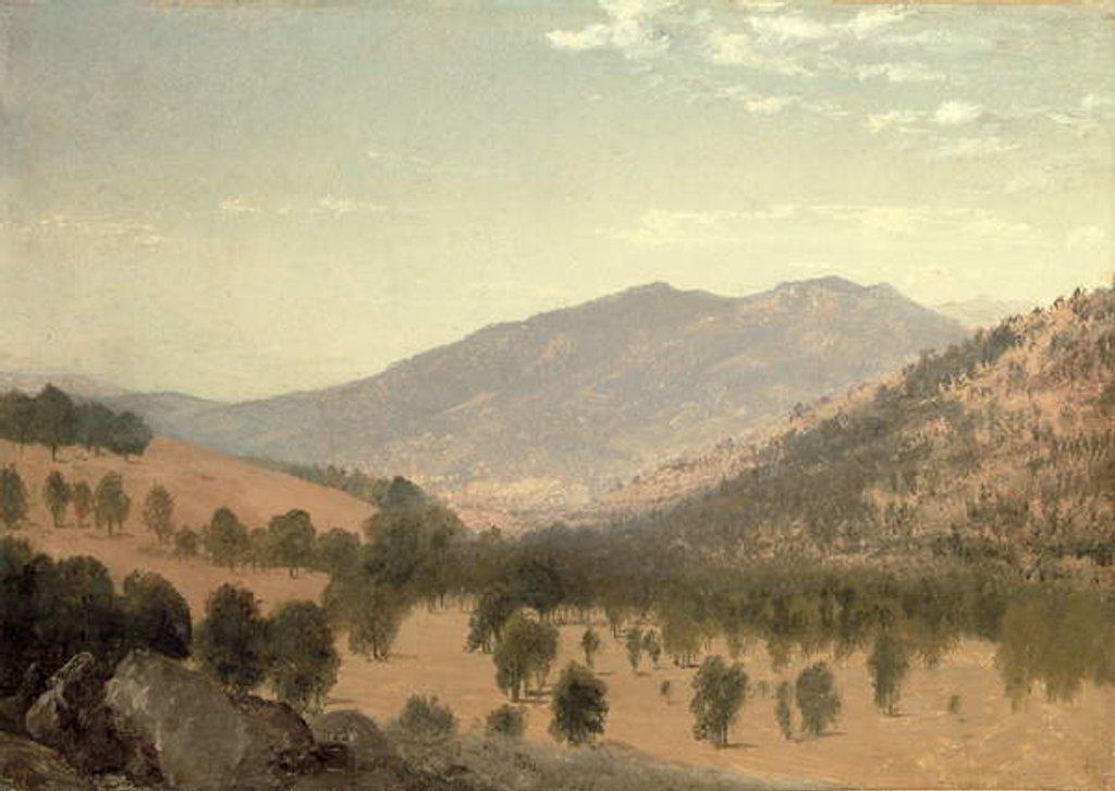 Detail of Bergen Park, Colorado by John Frederick Kensett