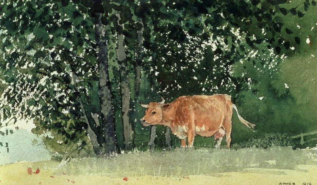 Detail of Cow in Pasture, 1878 by Winslow Homer