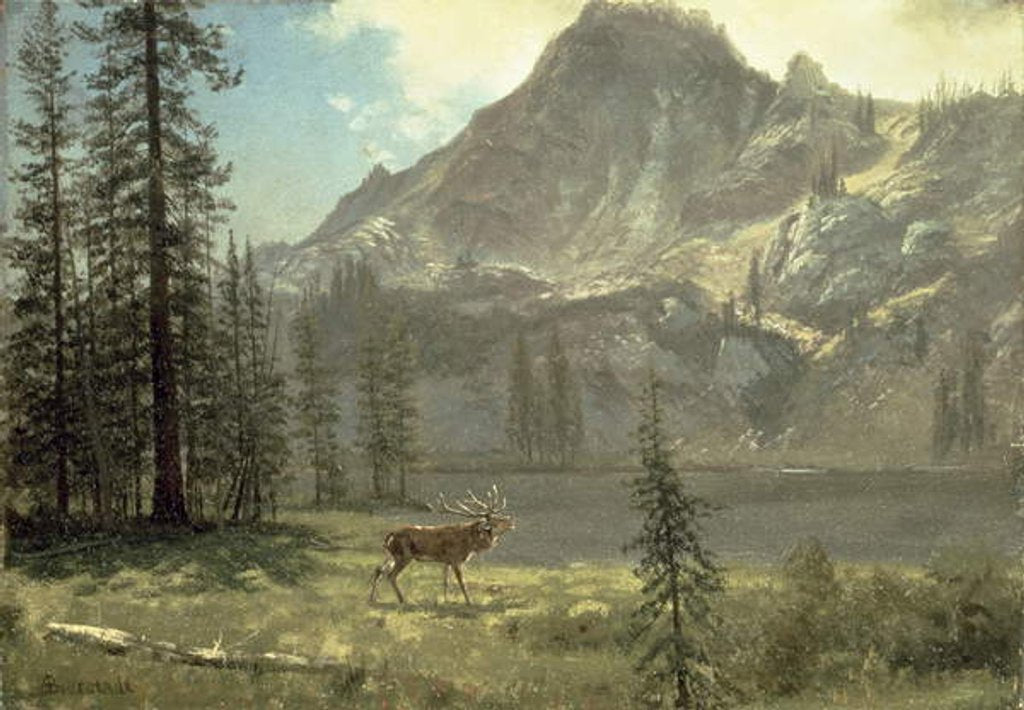 Detail of Call of the Wild by Albert Bierstadt