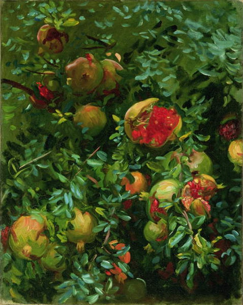 Detail of Pomegranates, Majorca, c.1908 by John Singer Sargent