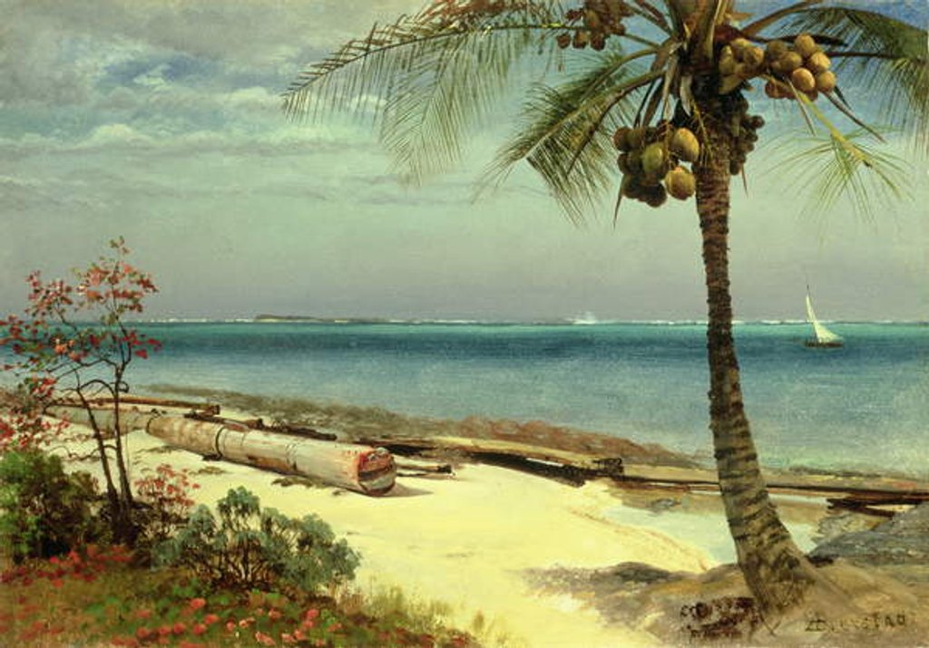 Detail of Tropical Coast by Albert Bierstadt