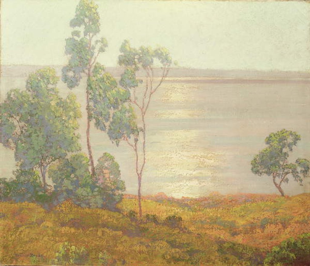 Detail of The Morning Sun, San Diego by Maurice Braun