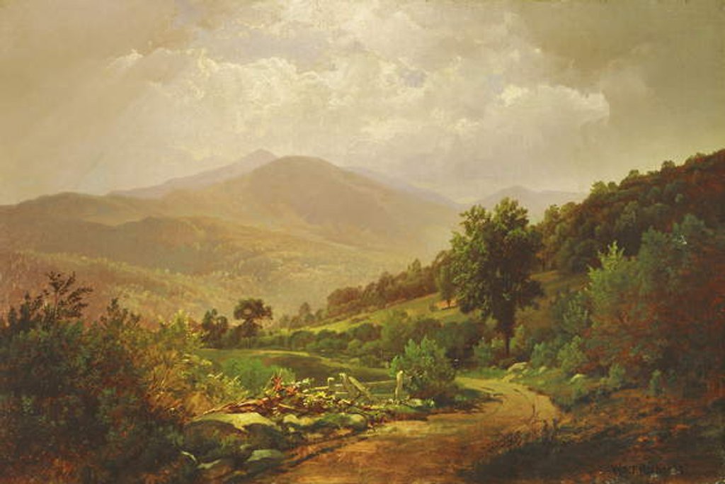 Detail of Bouquet Valley in the Adirondacks by William Trost Richards