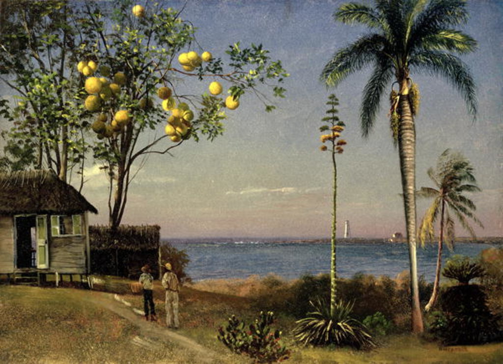 Detail of Tropical Scene by Albert Bierstadt