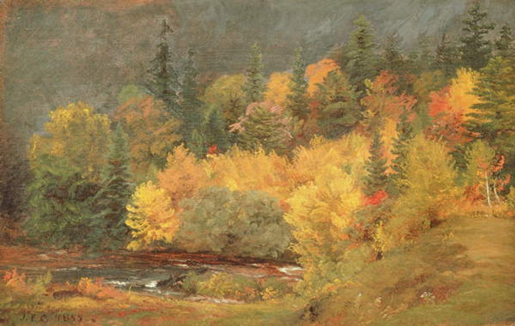 Detail of Autumn by the Brook, 1855 by Jasper Francis Cropsey