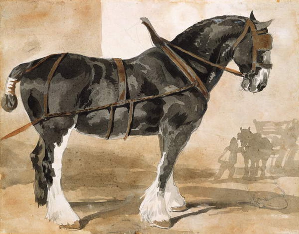 Detail of Harnessed black horse, 19th century by Theodore Gericault