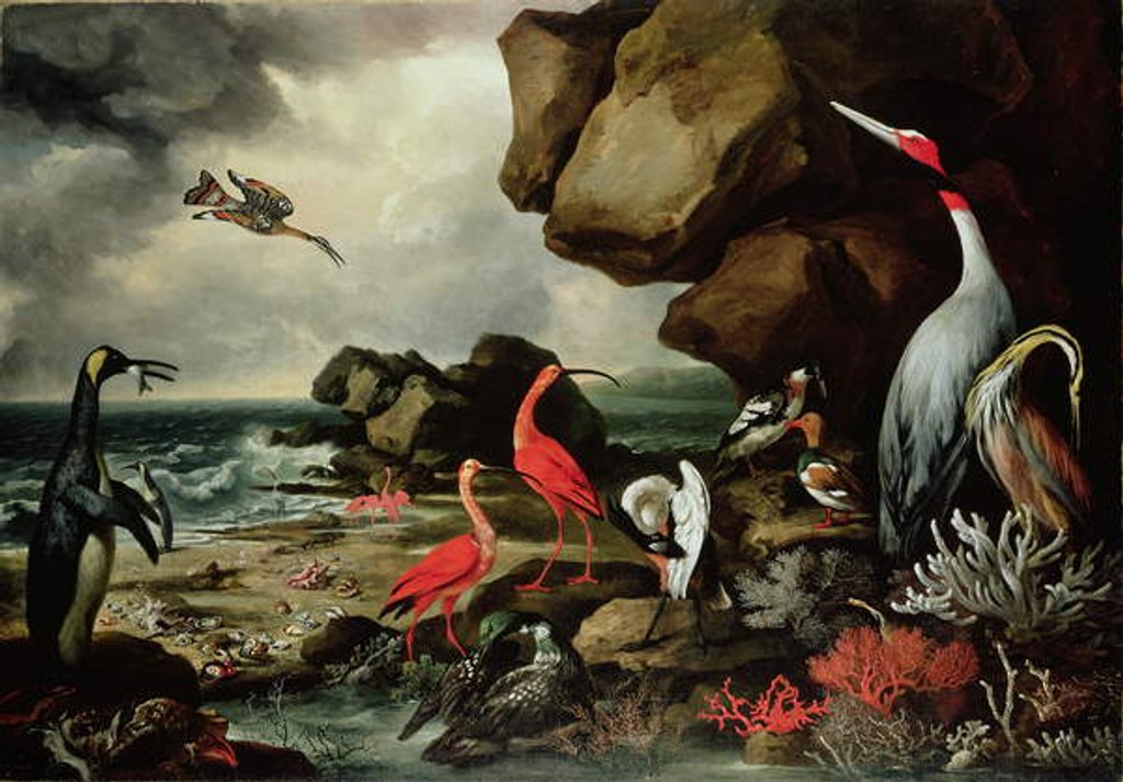 Detail of A Penguin, a Pair of Flamingoes, and Other Exotic Birds, Shells, and Coral on the Shoreline by Philip Reinagle