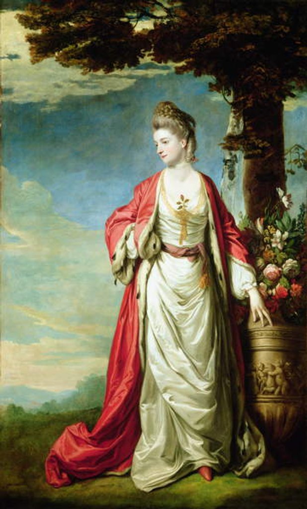 Detail of Portrait of Mrs Trecothick, in Turkish Dress by Joshua Reynolds