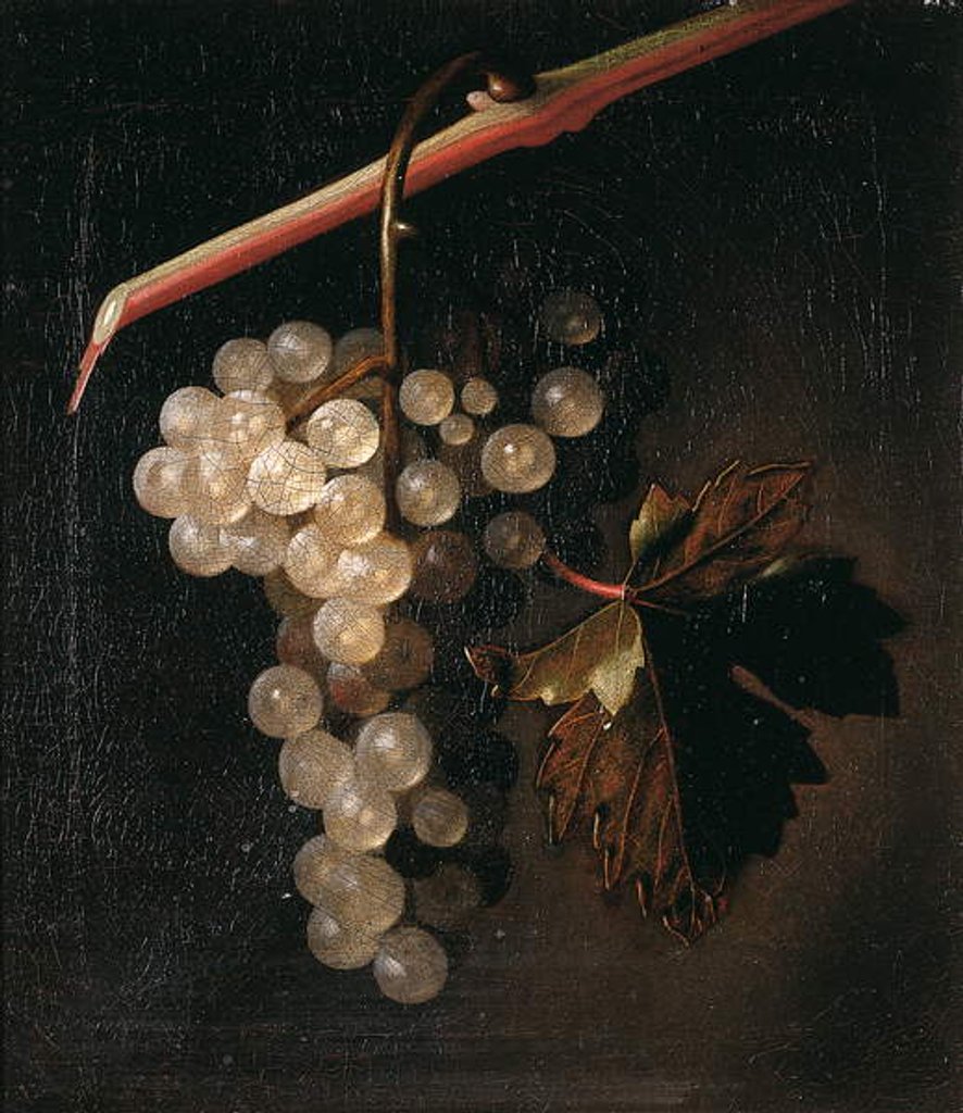 Detail of A Bunch of Grapes Hanging before a Stone Wall, 1709 by Simon Peeterz Verelst