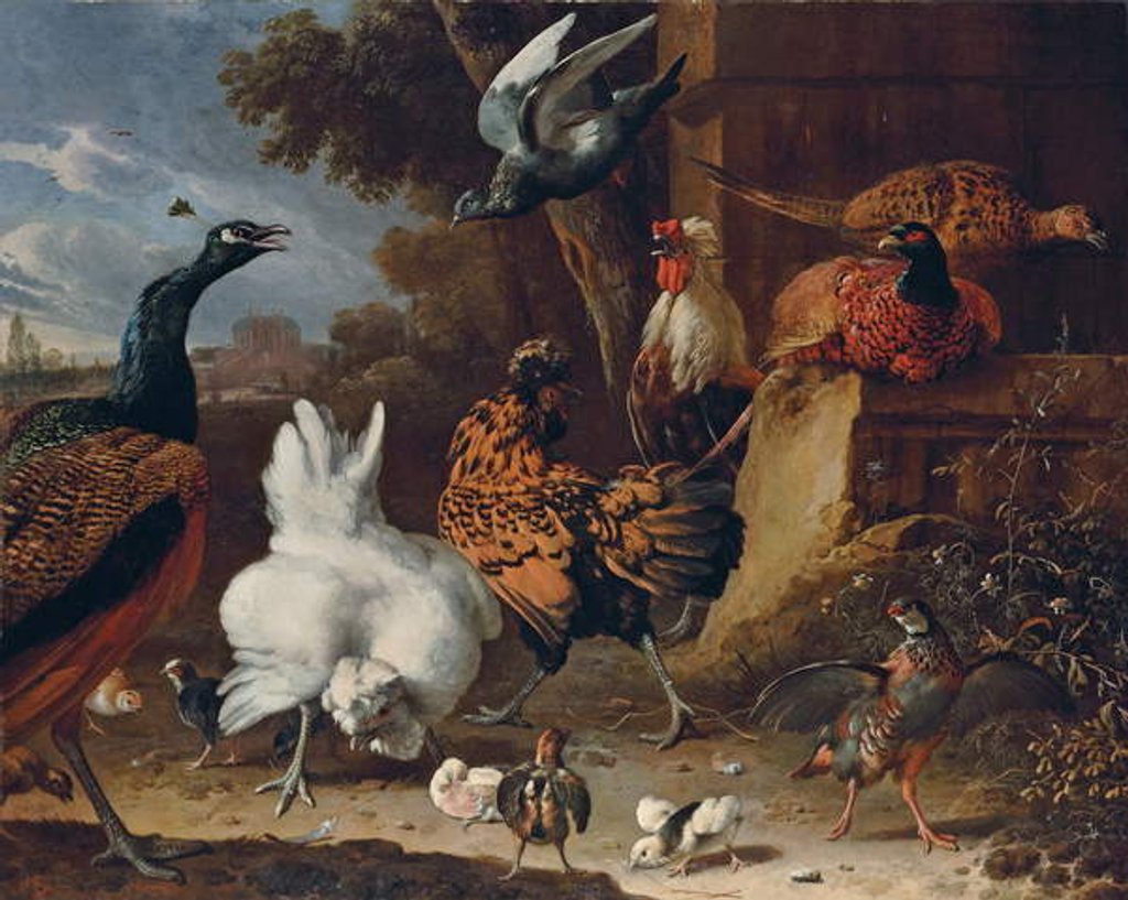 Detail of A cockerel, hens, chicks, a partridge, pheasants, a peacock and a pigeon by a wall in the park of a mansion by Melchior de Hondecoeter