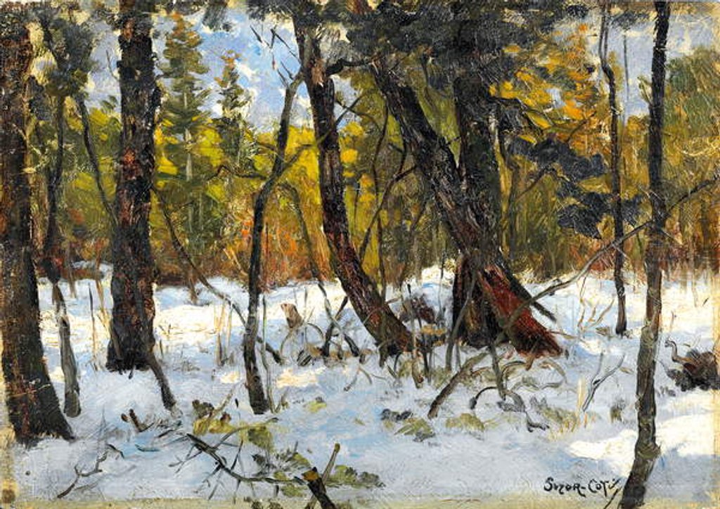 Detail of Woodland in winter by Marc Aurele de Roy Suzor-Cote