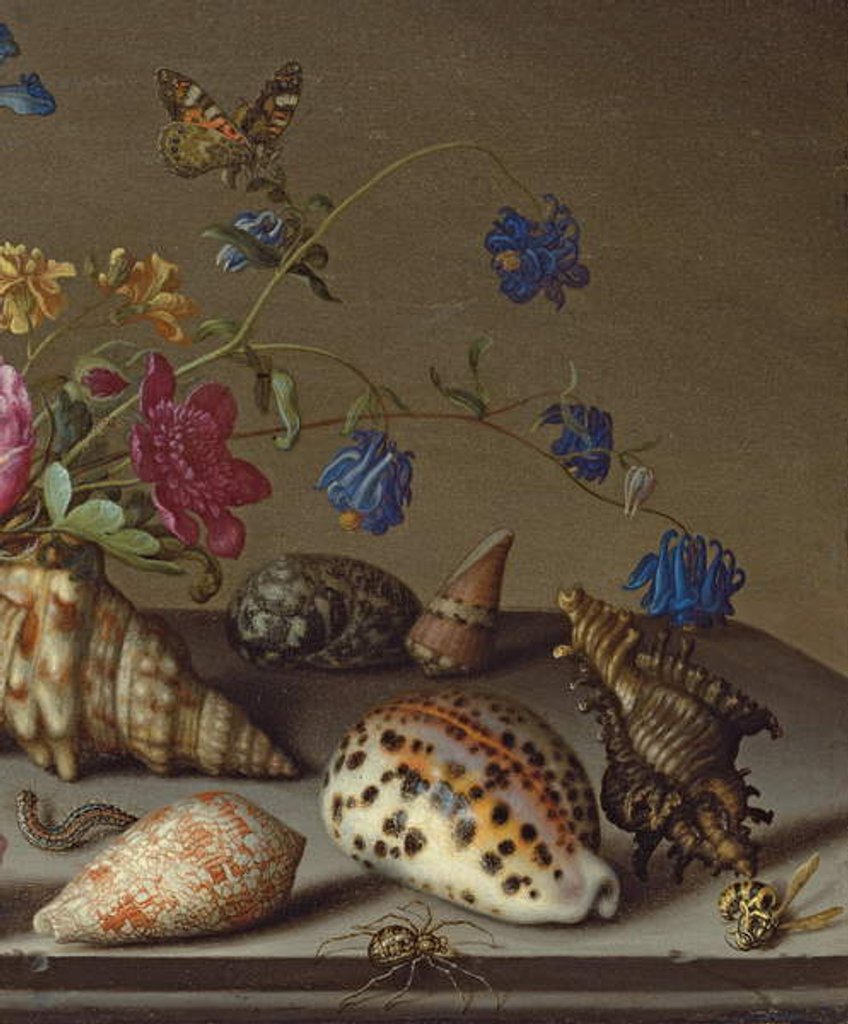 Detail of Flowers, shells and insects on a stone ledge by Balthasar van der Ast