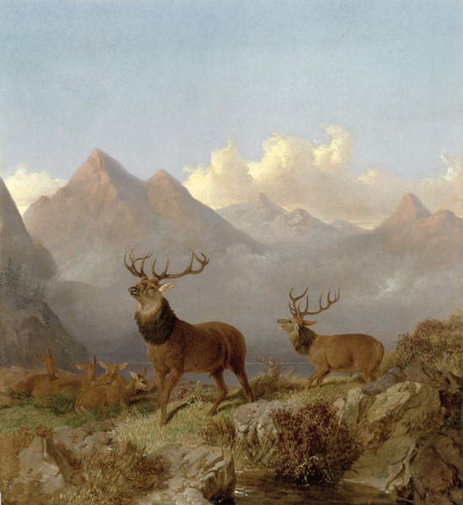 Detail of Detail of Stags And Hinds In A Highland Landscape, 1864 by John Frederick Herring Jnr