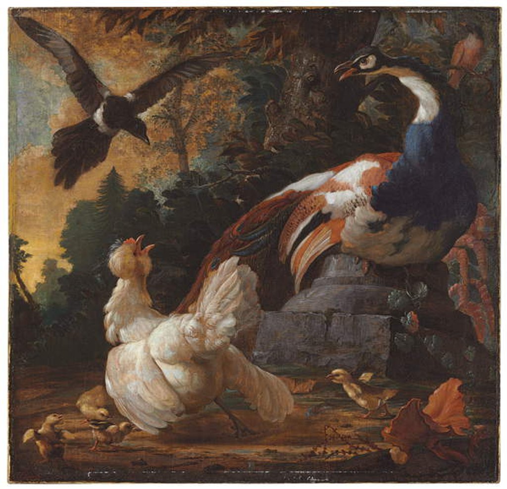Detail of A peacock, poultry and a magpie in a landscape, 1720 by Abraham Bisschop