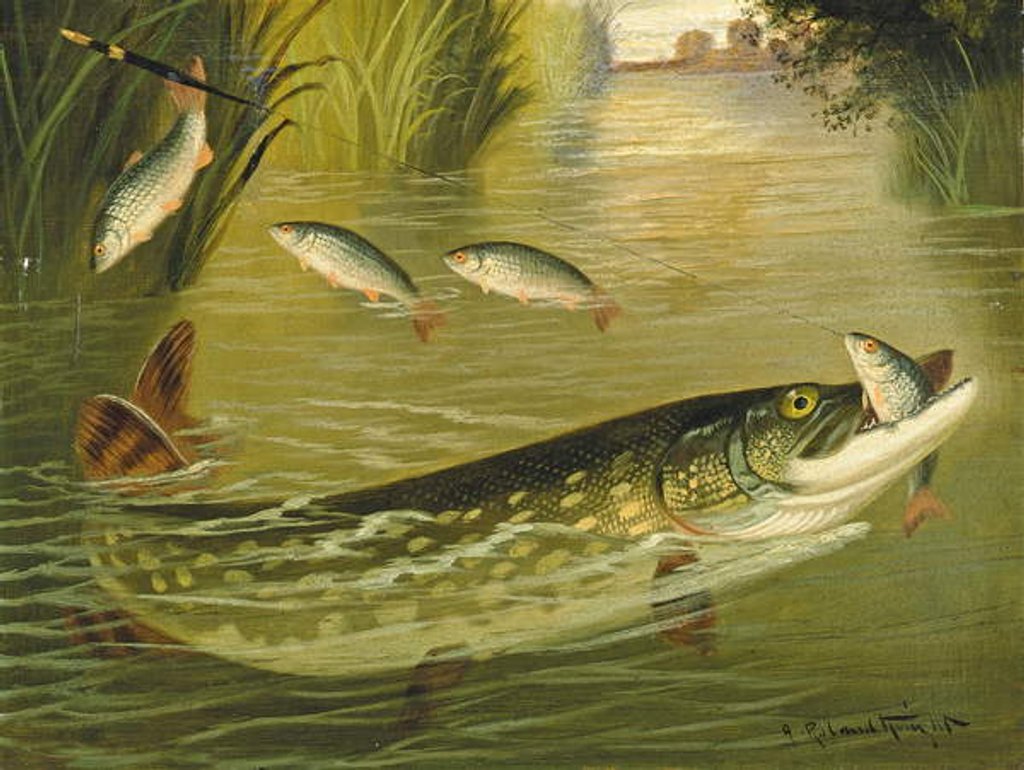 Detail of The four that got away! by A. Roland Knight