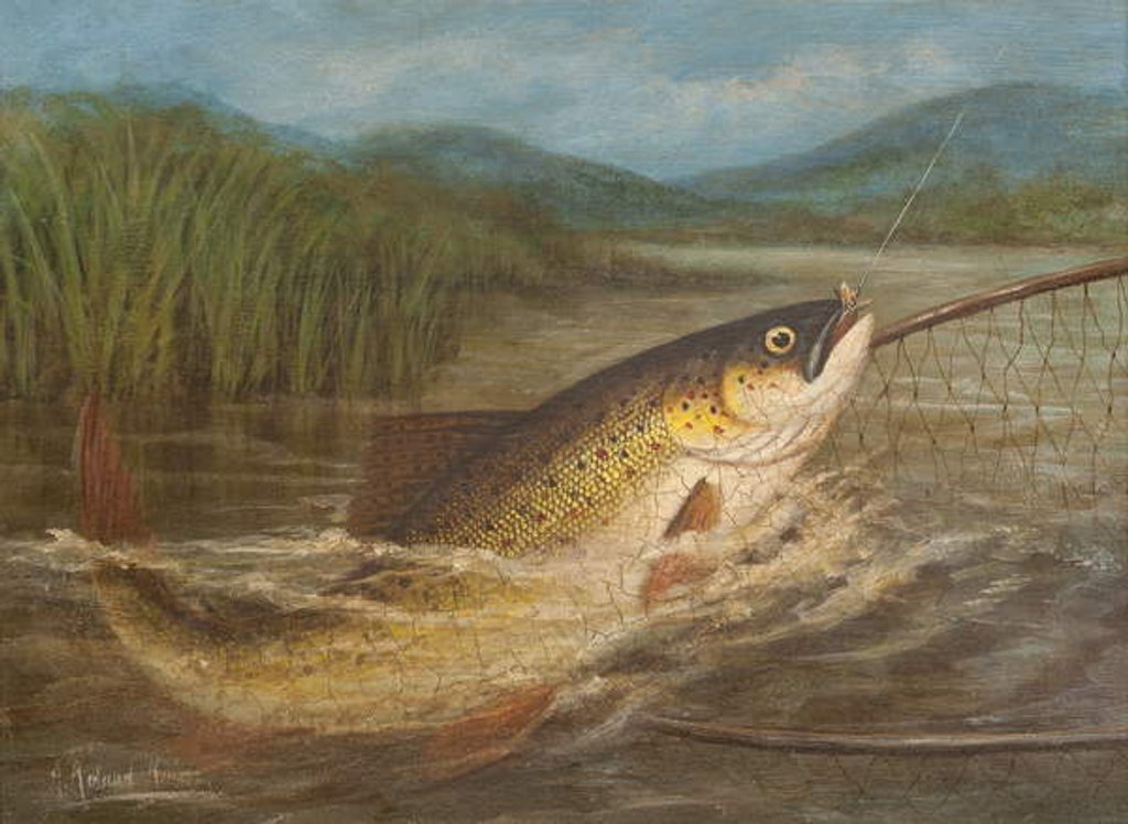 Detail of The fly fisherman's net by A. Roland Knight