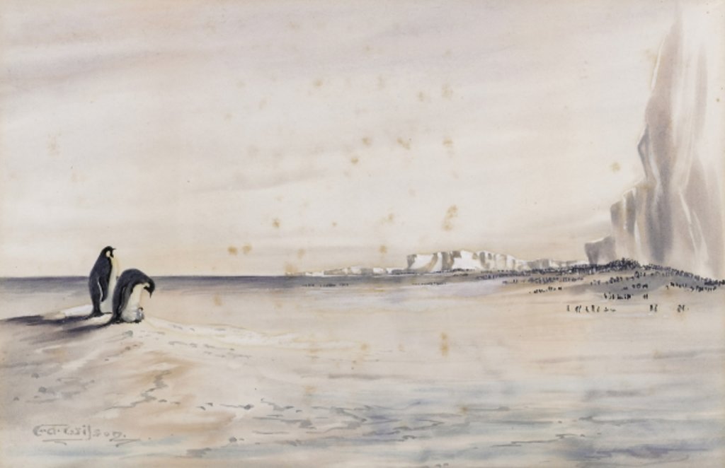 Detail of The Emperor Penguin Rookery, Cape Crozier by Edward Adrian Wilson