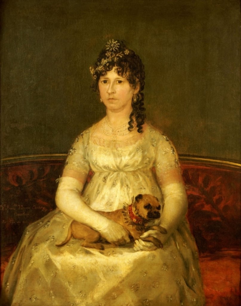 Detail of Portrait of Dona Francisca Vicenta Chollet y Caballero, seated, three-quarter length, with a lap dog, 1806 by Francisco Jose de Goya y Lucientes