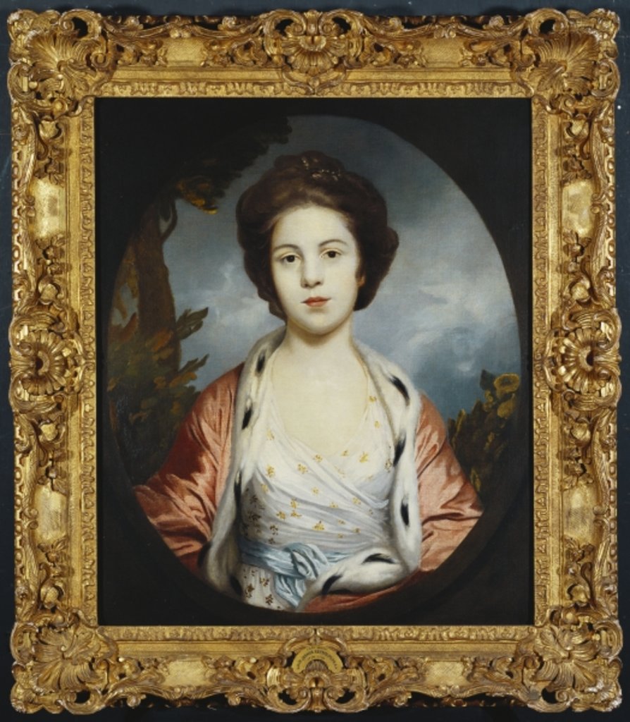 Detail of Portrait of Esther, Lady Wray, wearing a white dress, a gold and pink ermine-lined cloak, a landscape beyond by Joshua Reynolds