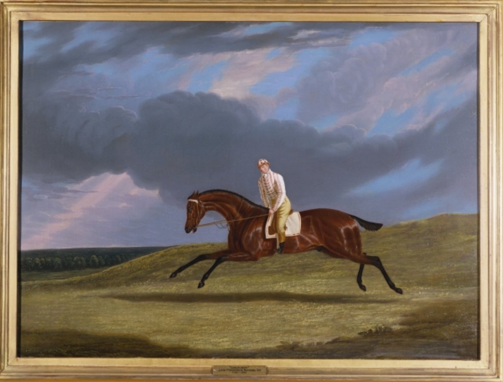 Detail of Corduroy, a Bay Racehorse, with a Jockey Up, Galloping on a Racecourse by John Frederick Herring Snr