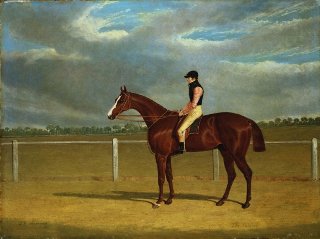 Detail of The Racehorse 'The Colonel' with William Scott Up by John Frederick Herring Snr