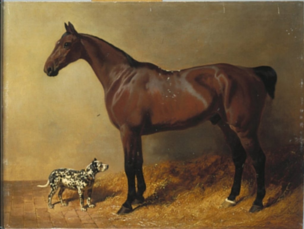 Detail of A Bay Hunter and a Spotted Dog in a Stable Interior, 1846 by John Frederick Herring Snr
