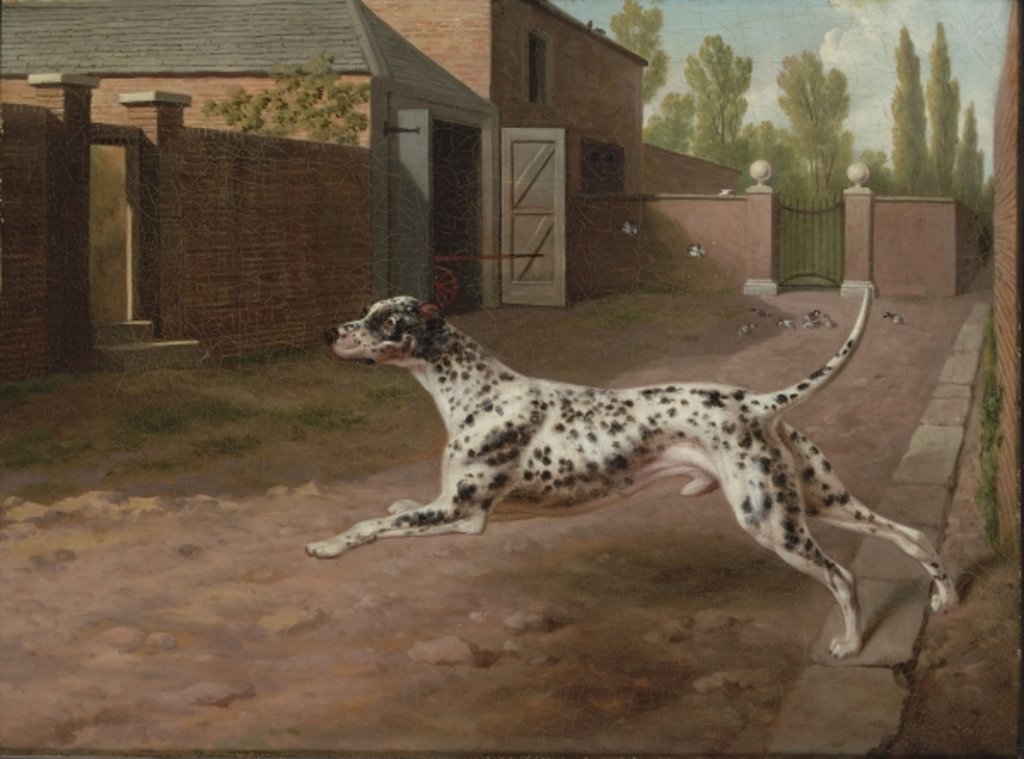 Detail of A Dalmation Running in a Stable Yard by Philip Reinagle