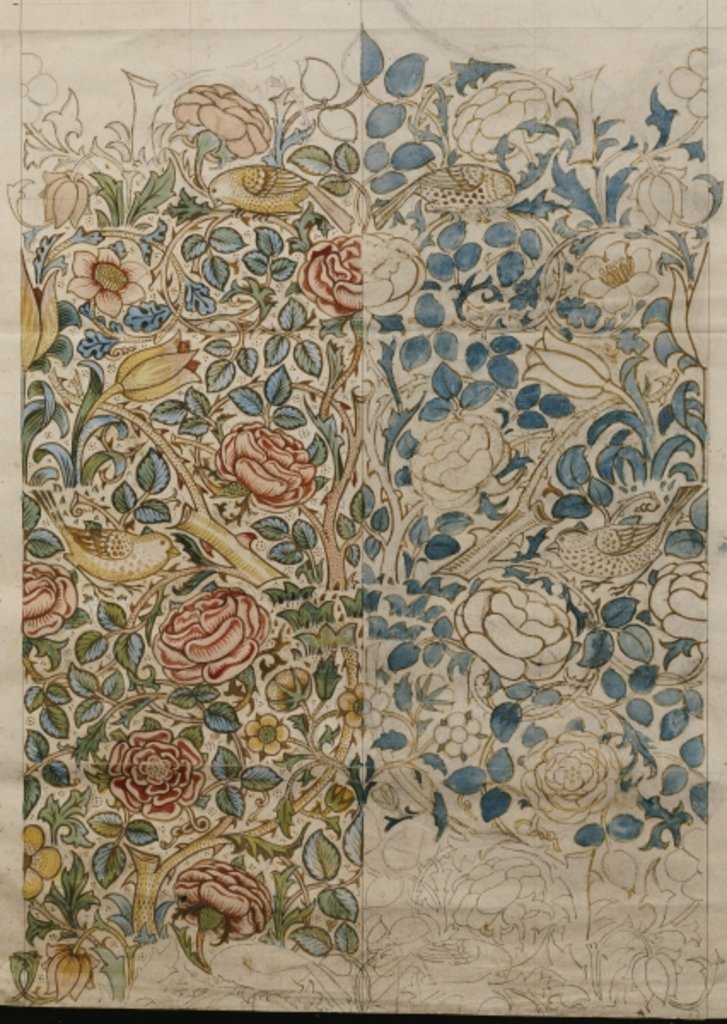 Detail of Rose, design for chintz by William Morris