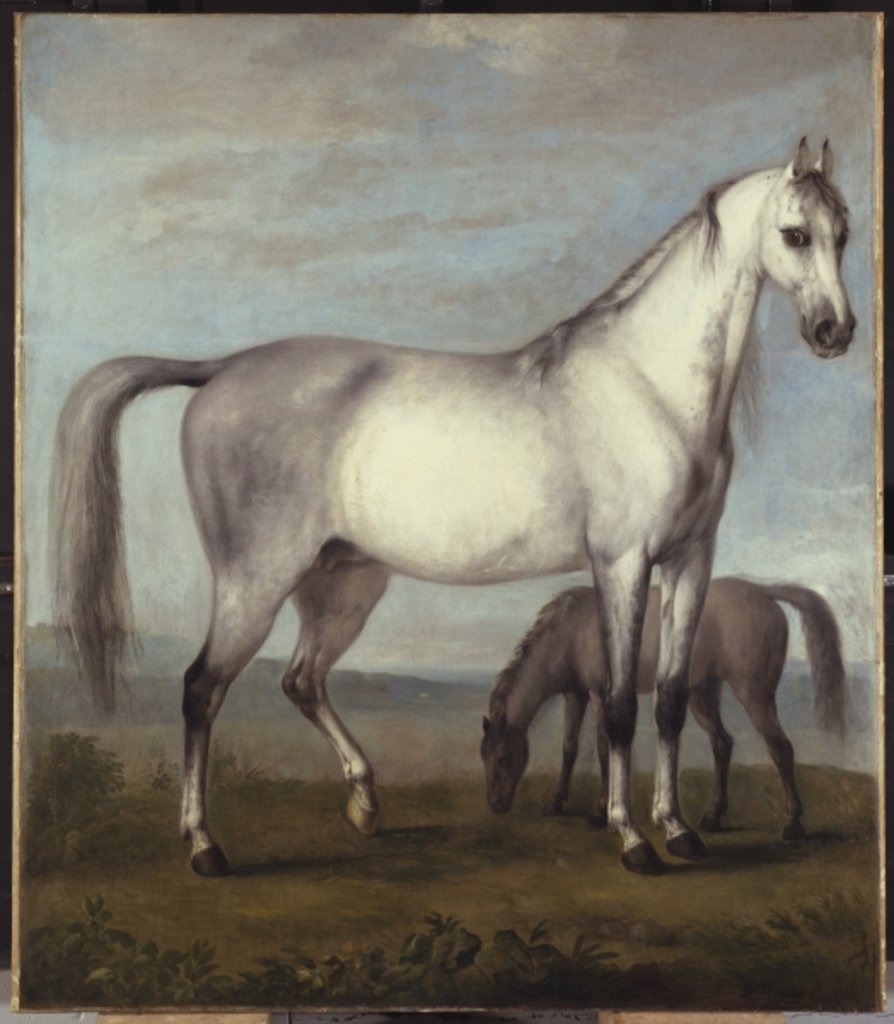 Detail of A Grey Mare and a Foal in an Extensive Hilly Landscape by Peter Tillemans