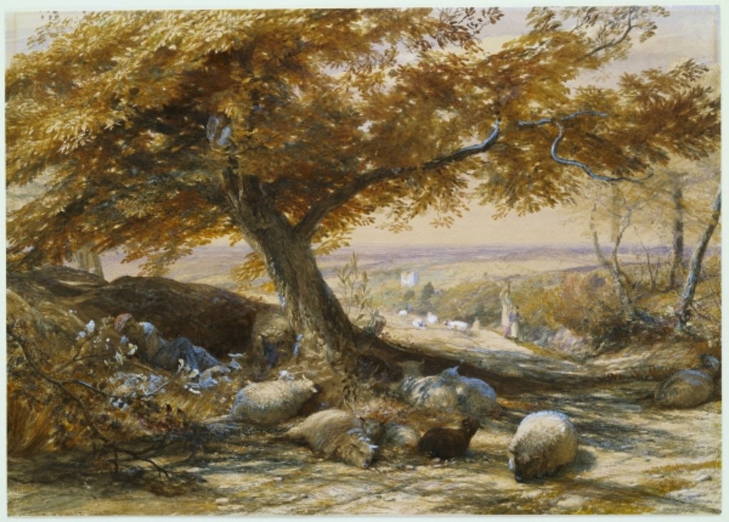 Detail of Sheep in the Shade, c.1851 by Samuel Palmer