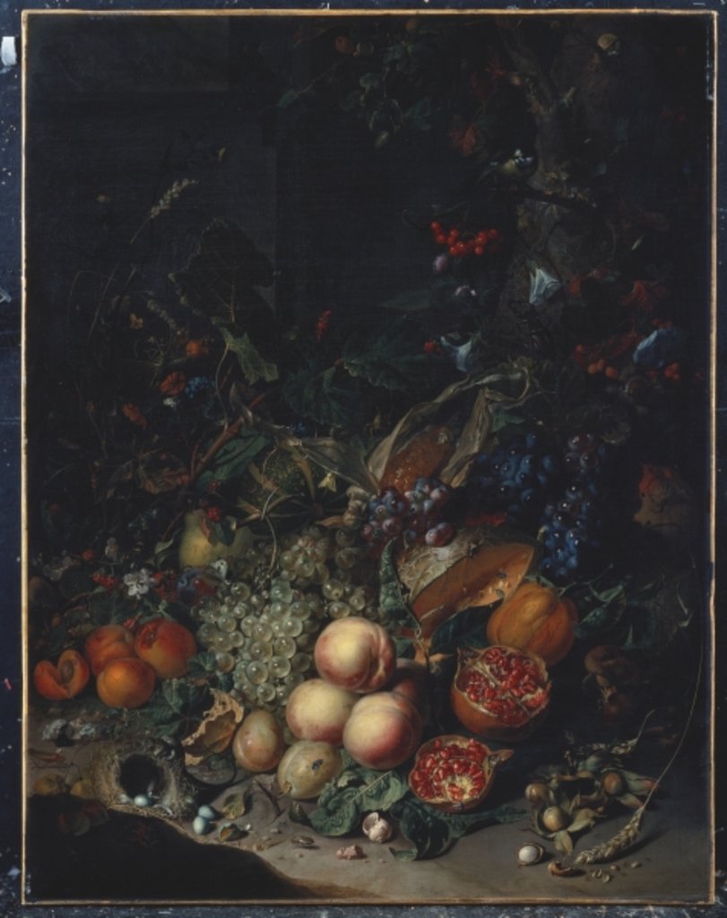 Detail of Peaches, Grapes, Pomegranates, Melons, a Corncob, Apricots, Plums, Pears, Acorns, 1718 by Rachel Ruysch