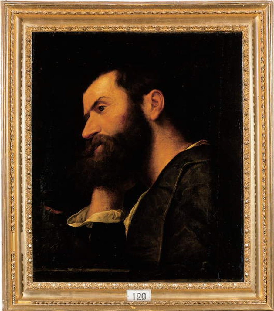 Detail of Portrait of the poet Pietro Aretino, bust-length, resting his head on his right hand by a ledge with a plant by Alessandro Bonvicino Moretto