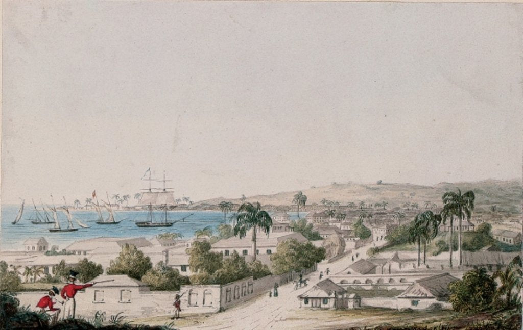Detail of A view of Carlisle Bay and Bridgetown, Barbados by Charles Emilius Gold