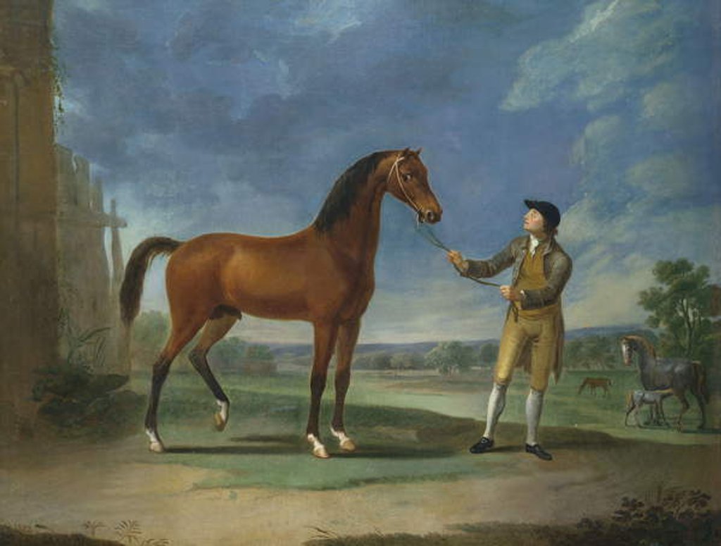 Detail of An Arab stallion held by a groom by Sawrey Gilpin