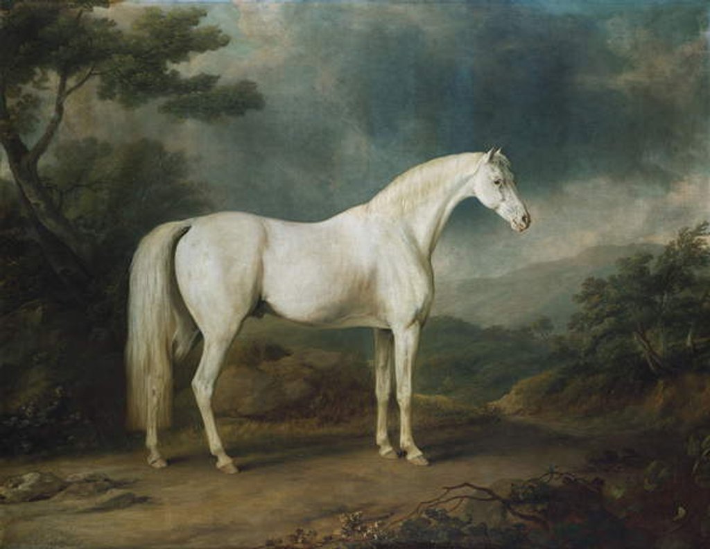 Detail of White horse in a wooded landscape, 1791 by Sawrey Gilpin