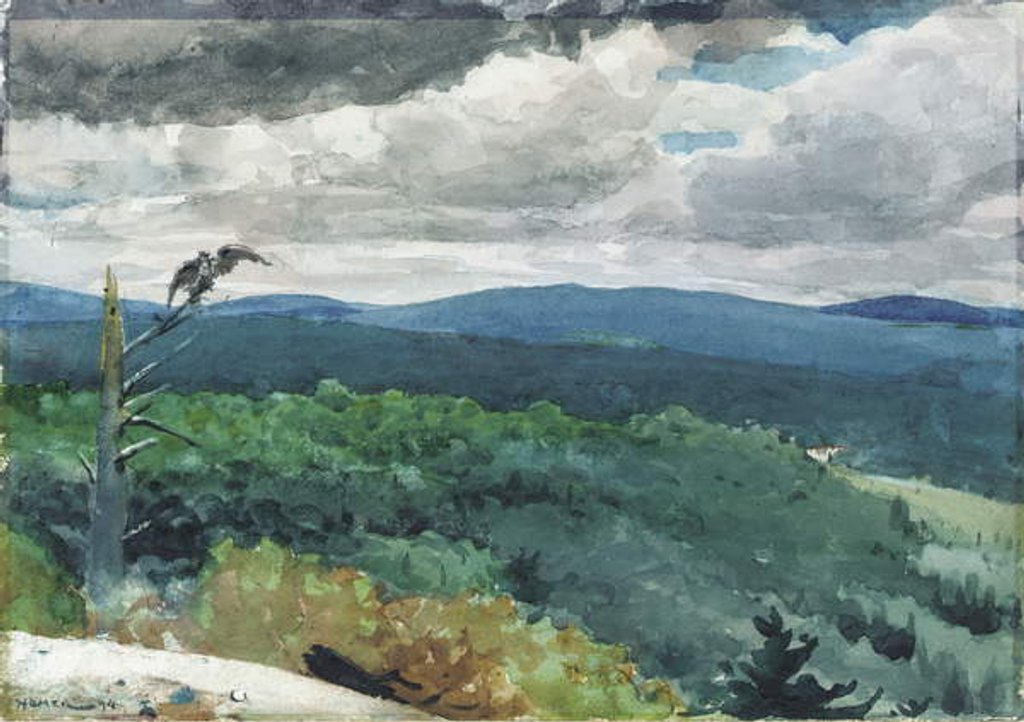 Detail of Hilly Landscape, 1894 by Winslow Homer